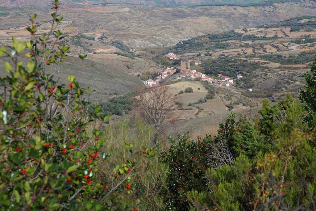 Vivienda Turistica Los Mesones Ágreda エクステリア 写真